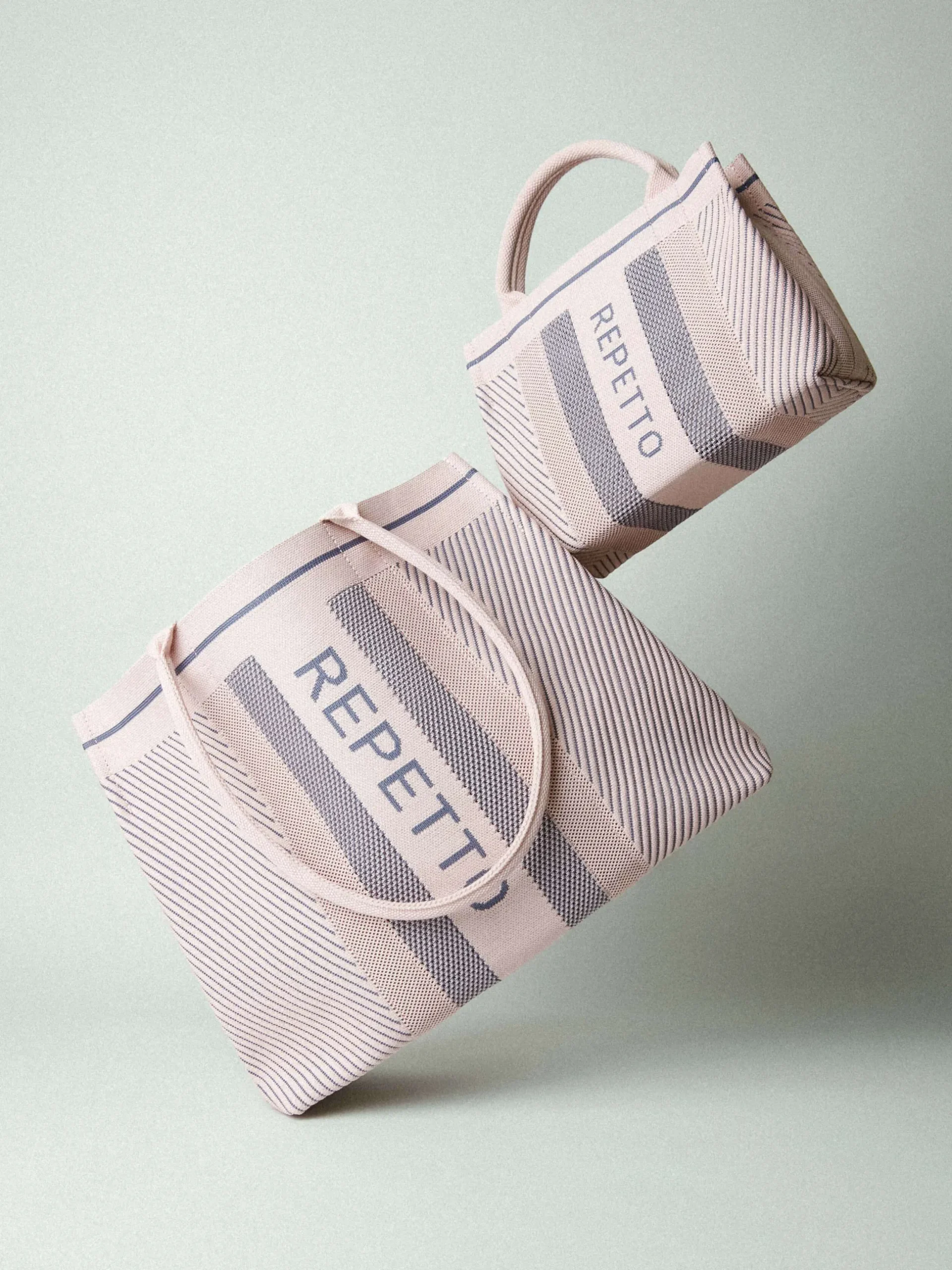 Petit cabas Repetto