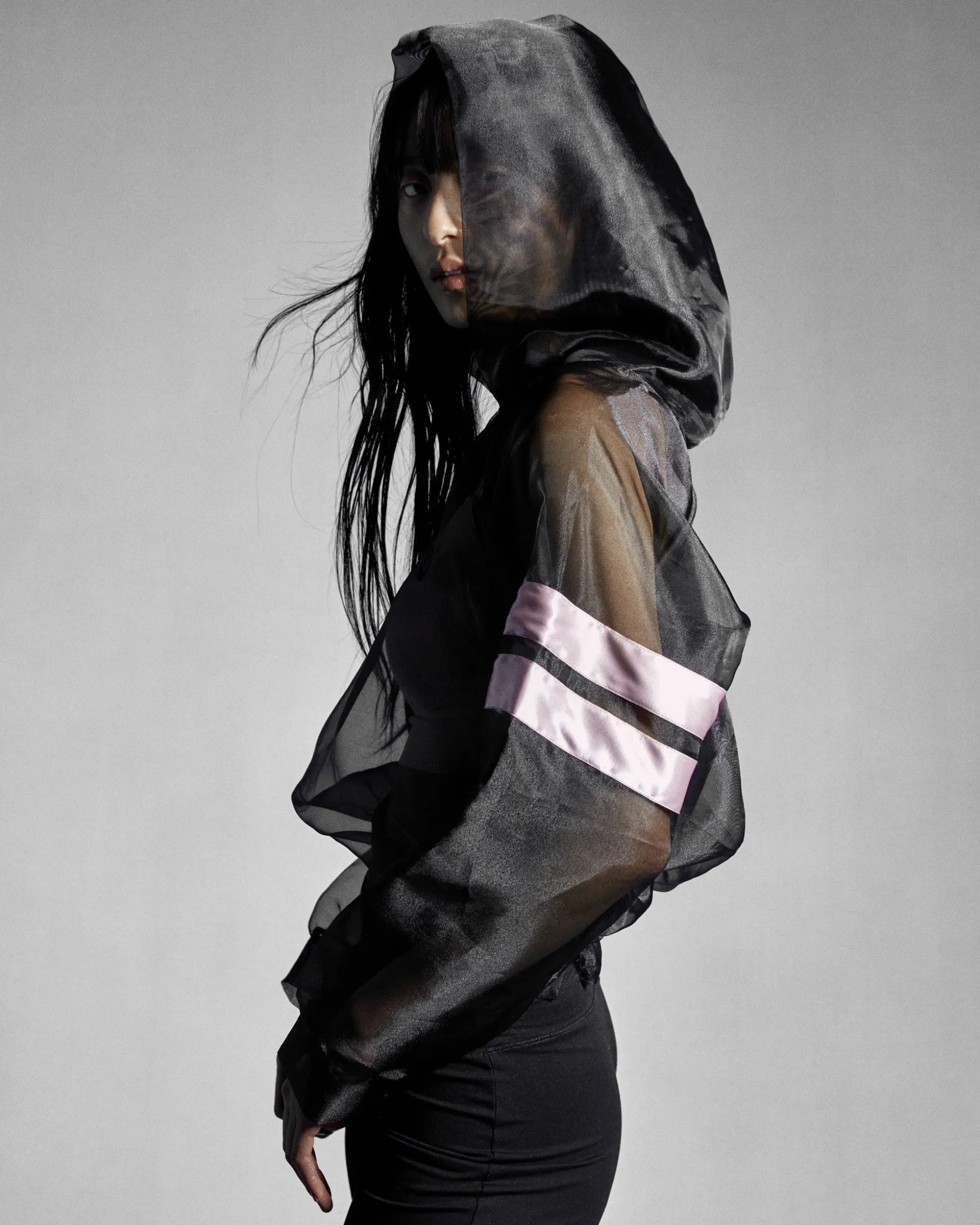 Sweatshirt Transparent
