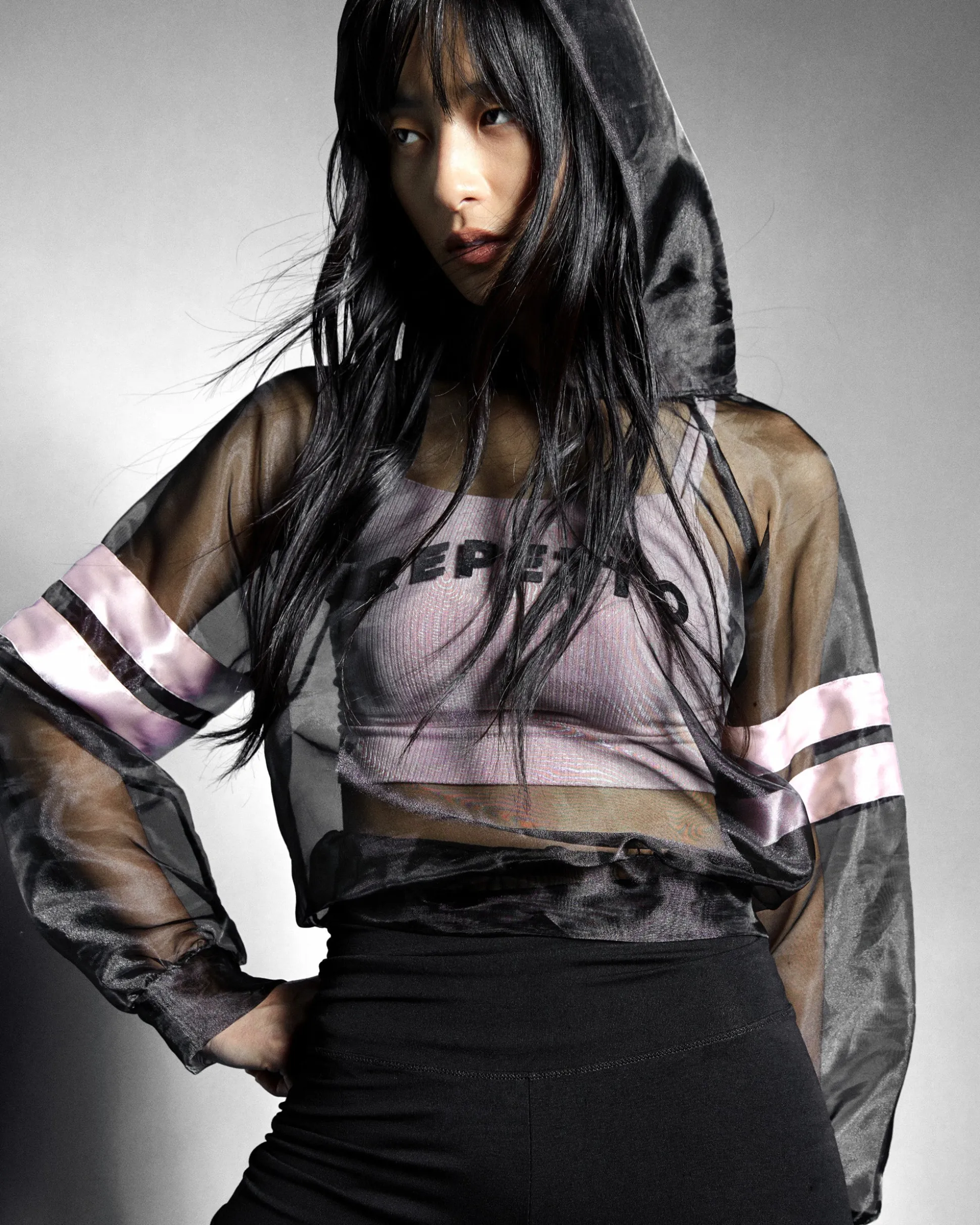 Sweatshirt Transparent